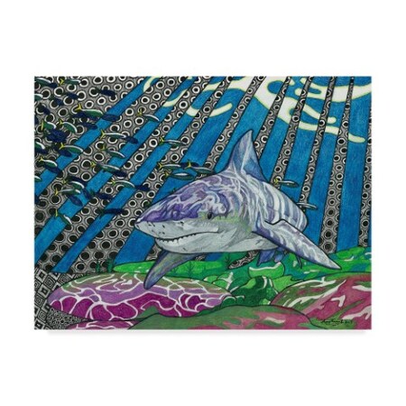 Trademark Fine Art Amy Frank 'The Reef' Canvas Art, 35x47 ALI37906-C3547GG
